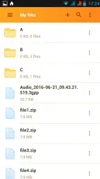 Rapidgator.net File Manager 3