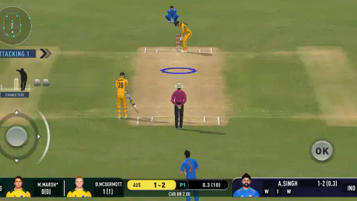 Real Cricket™ Swipe 8