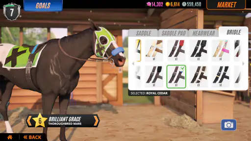 Rival Stars Paardenrennen 6