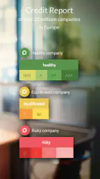 s-peek - Credit Report 2
