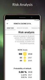 s-peek - Credit Report 4