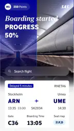 SAS – Scandinavian Airlines 4
