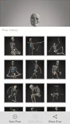 Skelly: Poseable Anatomy Model 4