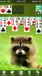 Solitaire - Patience Kaartspel 2