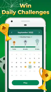 Spider Solitaire-spellen screenshot