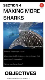 SSI App - Education and Fun 2