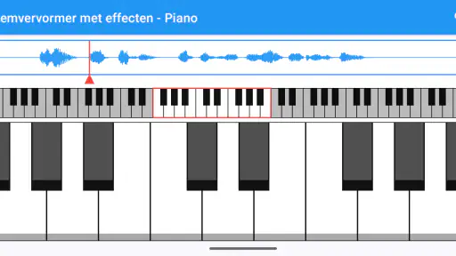 Stemvervormer met effecten 8