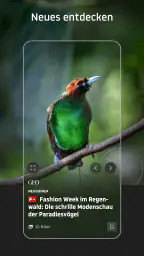 stern online: Nachrichten App 6