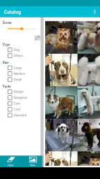 TapGroom Pet Grooming Salon 8