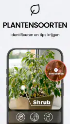 TapScanner - Scanner naar PDF 4