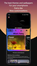 Themes 1