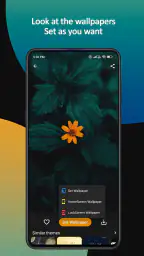 Themes 7