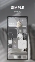 Themes, Widgets & Icon changer 5