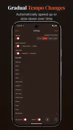 Time Guru Metronome 3