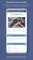 Tropical Fish Guide Pocket Ed. 3