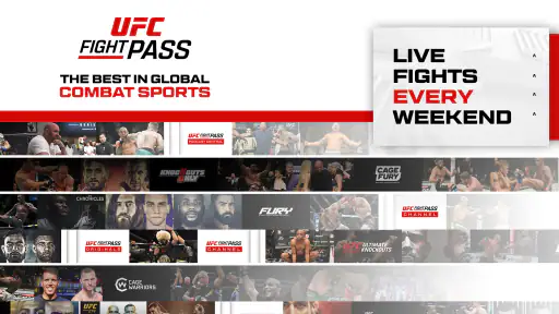 UFC 8