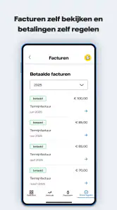 Vattenfall Energie screenshot