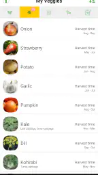 Veggie Garden Planner 4