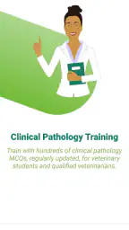 Vetmemo 2