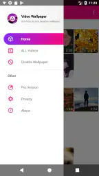Video Live Wallpapers 2
