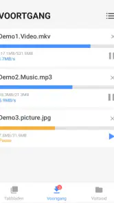 Videodownloader screenshot