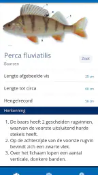 Vissengids 2