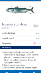 Vissengids 3