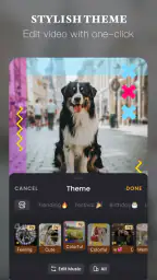 VivaVideo - Video Editor&Maker 5