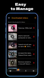 VK Video Downloader 4