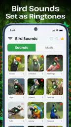 Vogelgeluiden 1