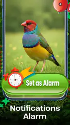 Vogelgeluiden 4