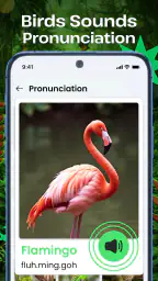 Vogelgeluiden 5