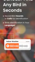 Vogelgeluiden Herkennen App 2