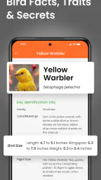 Vogelgeluiden Herkennen App 3