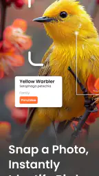 Vogelgeluiden Herkennen App 7