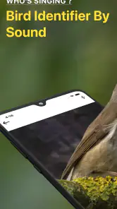 Vogelgeluiden Herkennen NL screenshot