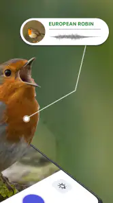 Vogelgeluiden Herkennen NL screenshot