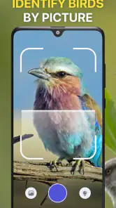 Vogelgeluiden Herkennen NL screenshot