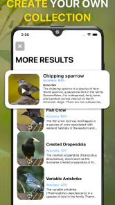 Vogelgeluiden Herkennen NL screenshot