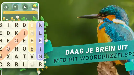 Woordzoeker 6