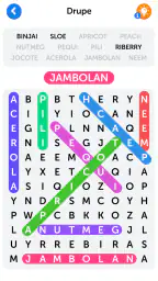 Word Search 2