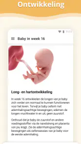 Zwangerschap screenshot