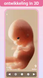 Zwangerschap + | Pregnancy App 5