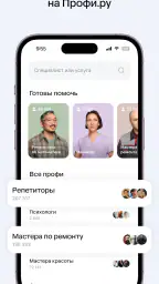 Профи.ру 2