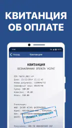 Штрафы ПДД с фото и ОСАГО 7