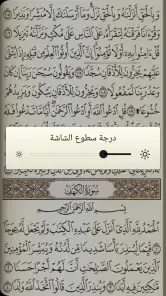 القرآن الكريم مع تفسير ومعاني  screenshot