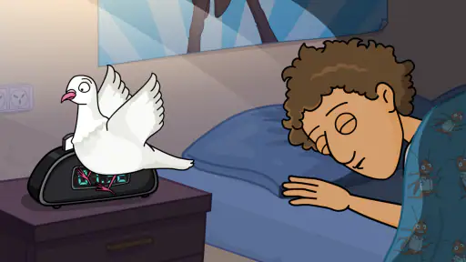 غرفة ونص 2