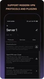 Amnezia VPN 3