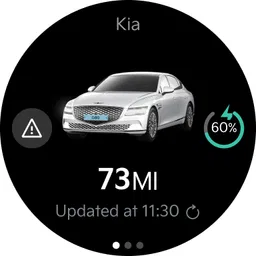 Kia App 8
