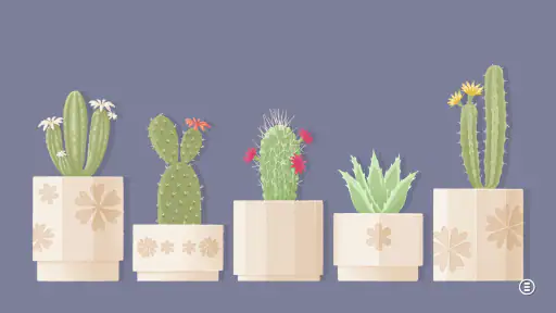 A Little to the Left: Stars 4